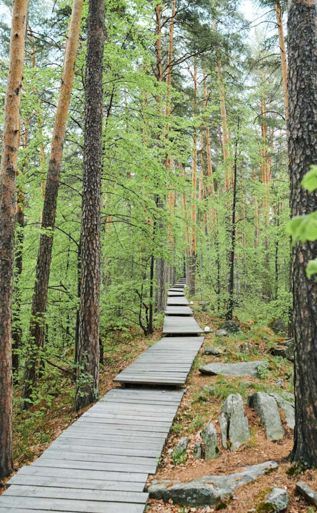 You Don’t Need a Big Break - You Need a Clear Path