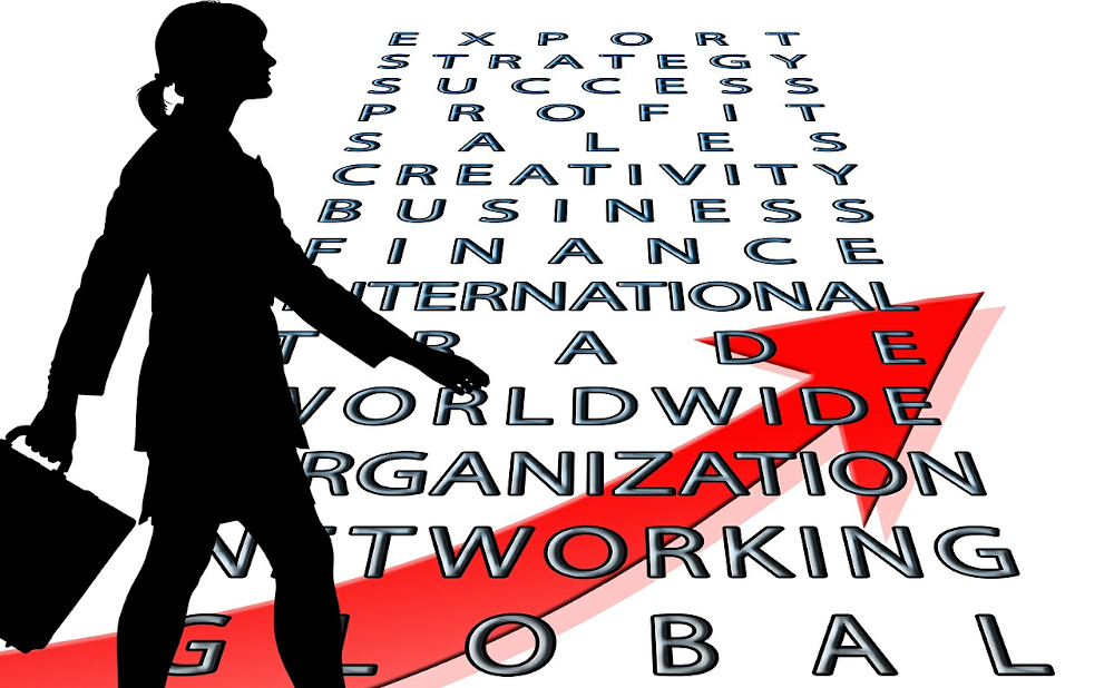 From Idea to Profit: The Step-by-Step Process of Creating a Successful Information Product