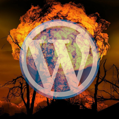 Why WordPress may not be the best choice for Your online business
